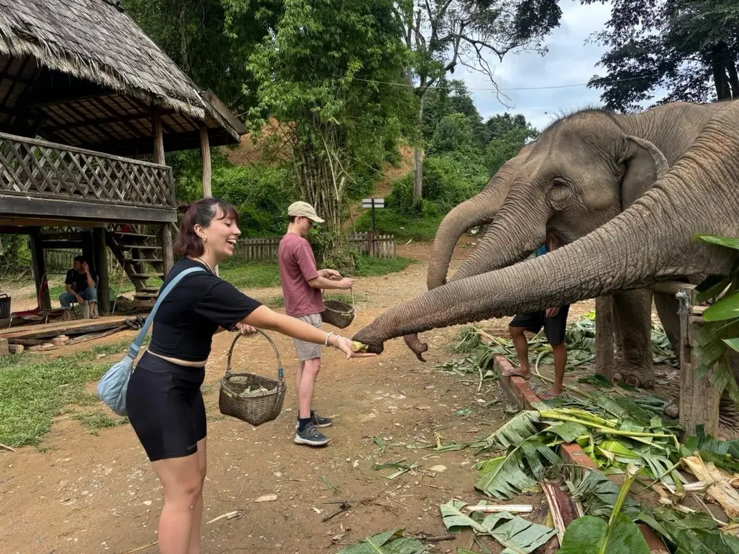 Une jeune voyageuse souriante tend de la nourriture à un éléphant d'Asie qui déploie sa trompe, dans un espace extérieur aménagé en bordure de forêt.