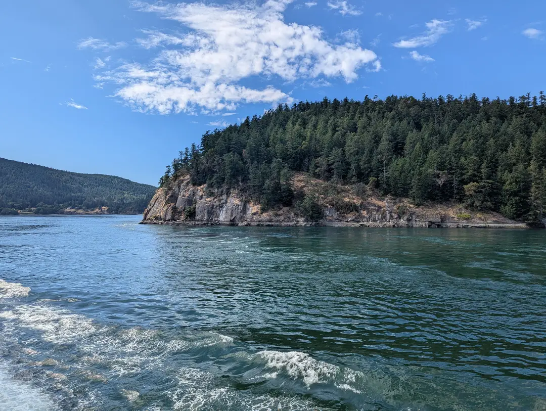 Falaises boisées et littoral de l'île de Vancouver, en Colombie-Britannique