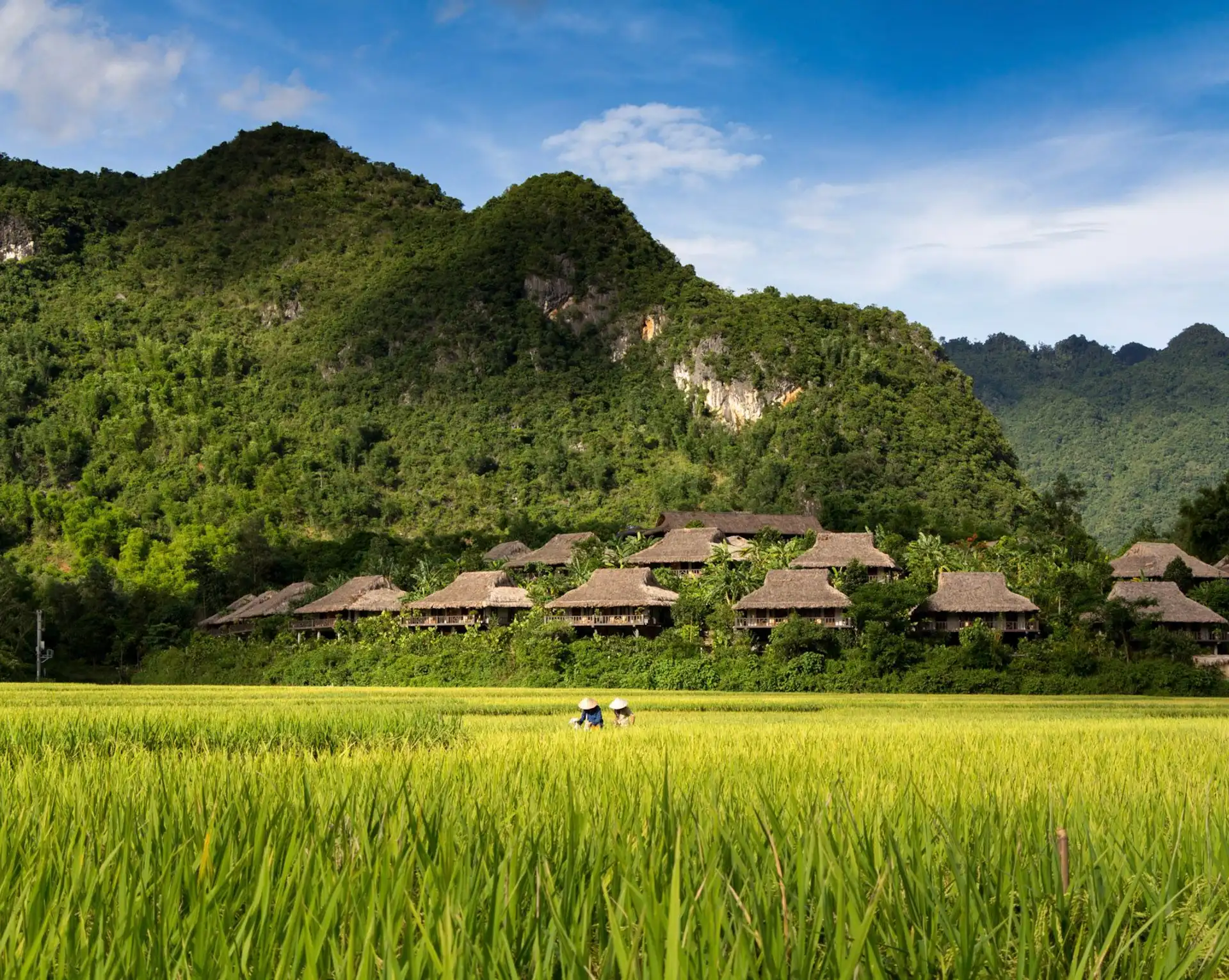 Paysage verdoyant des rizères et maisons traditionnelles sur pilotis entourées de montagnes karstiques à Mai Chau au Vietnam.