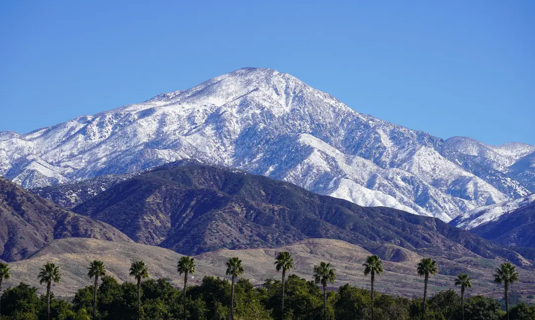 Montagnes enneigées et palmiers à Redlands, en Californie, par temps clair