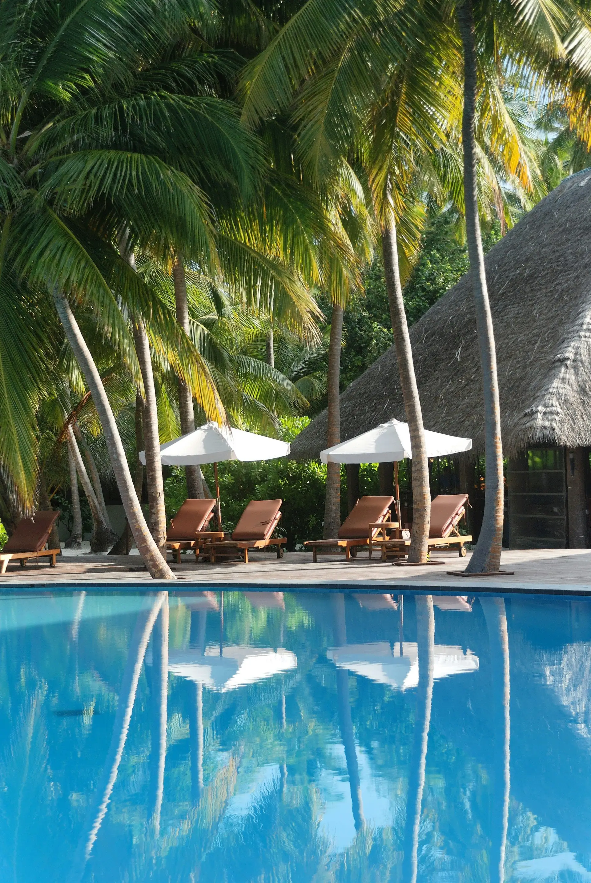 Voyage aux Maldives, Hôtel avec piscine