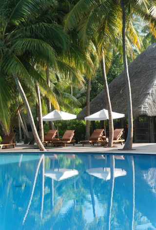 Voyage aux Maldives, Hôtel avec piscine