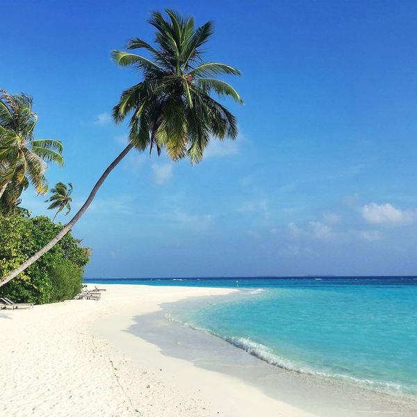 Malediven Paradis Shanti Travel Reise nach Sri Lanka und Malediven