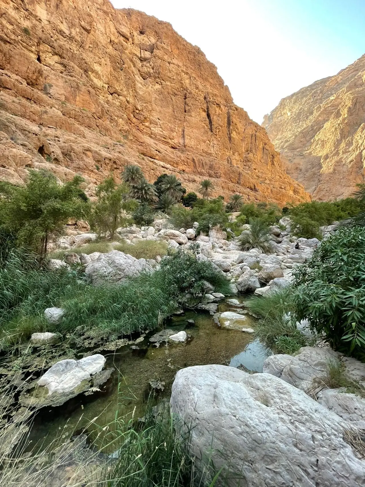 promenade-Wadi-Shab-nature