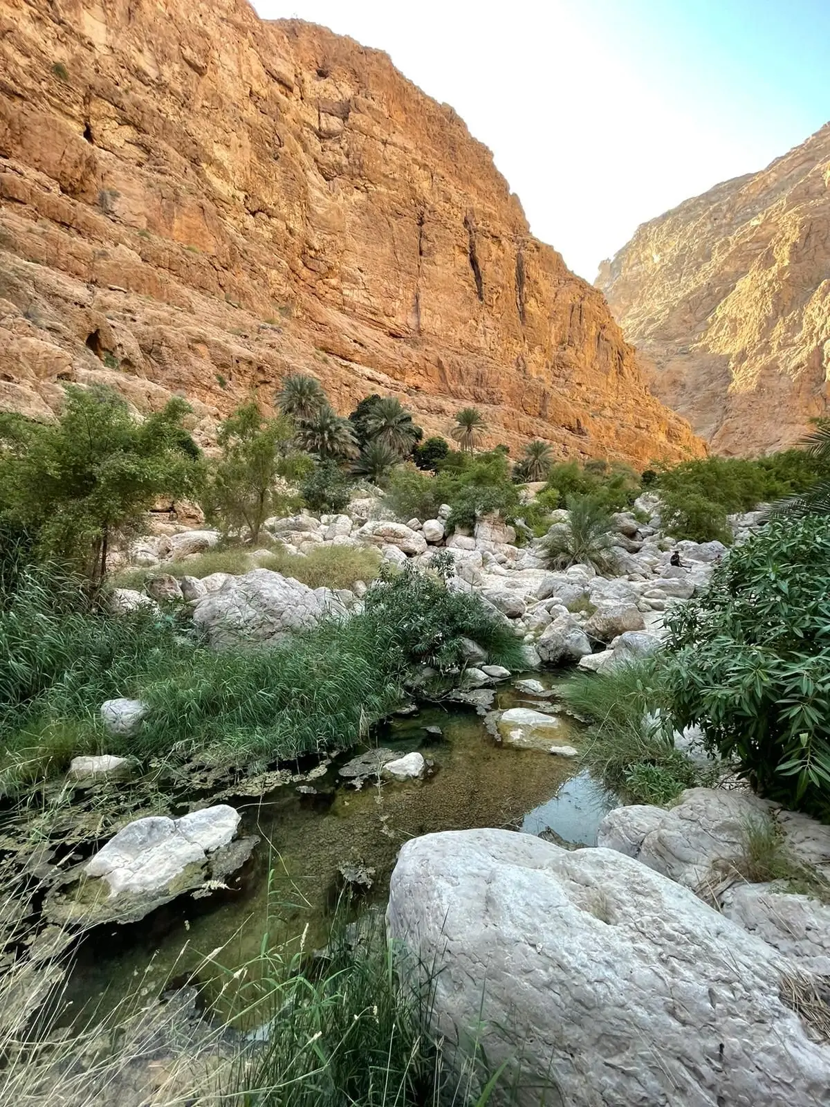 promenade-Wadi-Shab-nature
