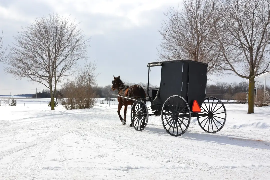 Paysage d'hiver au Canada