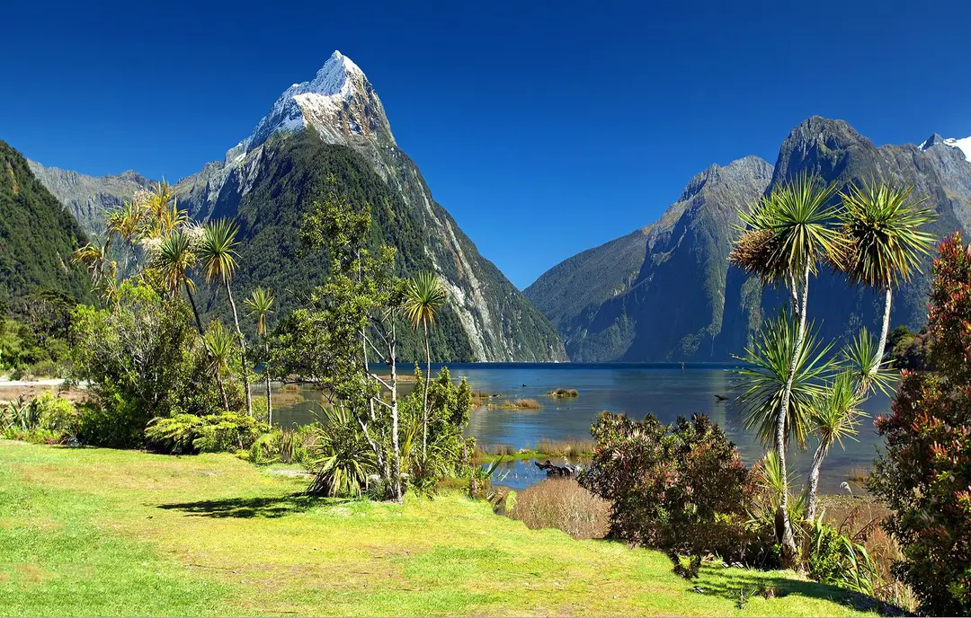 Milford Sound avec le Mitre Peak, une végétation luxuriante et un ciel bleu clair.