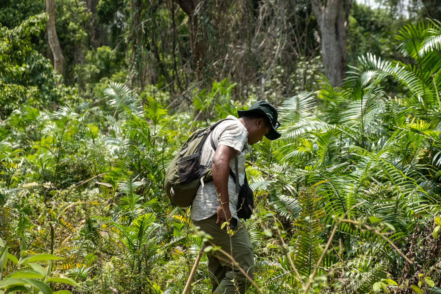 Nepal Terai Tharu fam trip Rupesh 3.jpg