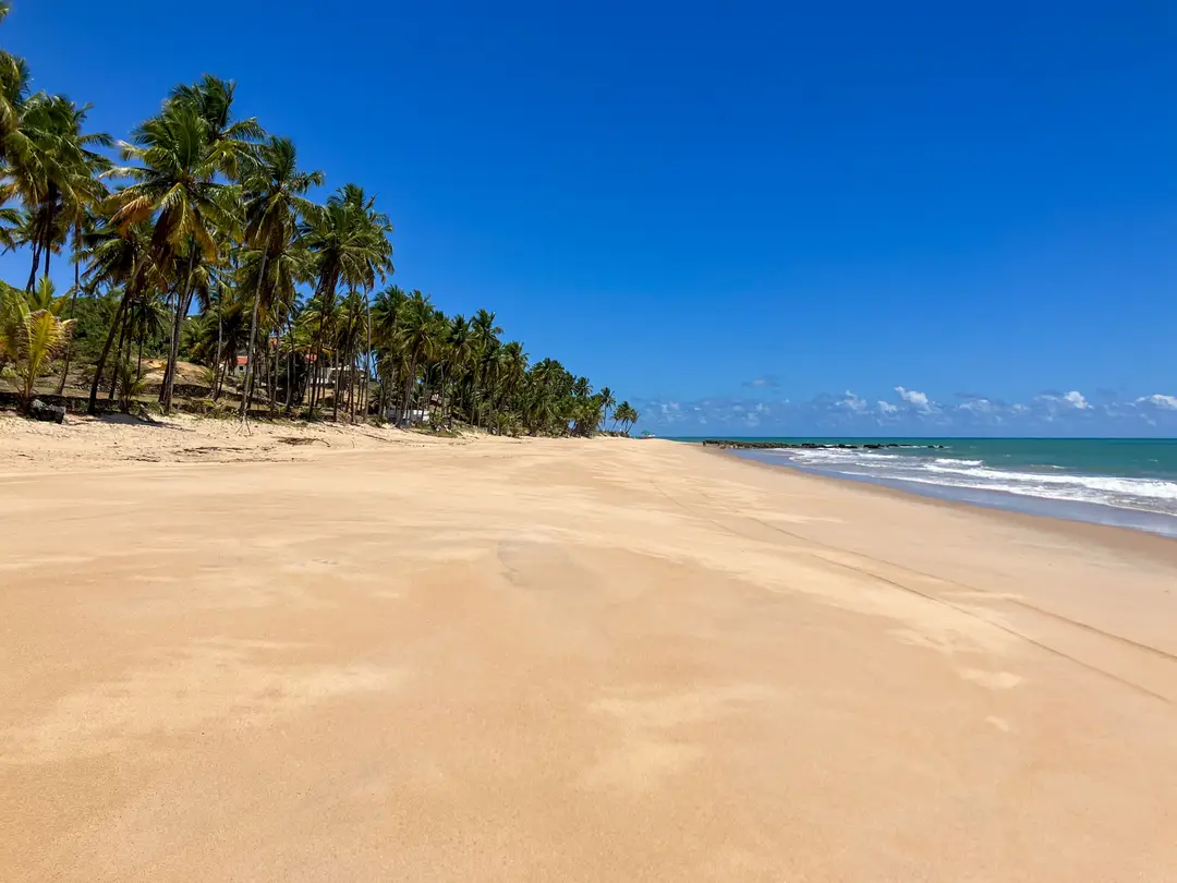 Plage du Nordeste brésilien sous un ciel bleu, avec une mer calme.