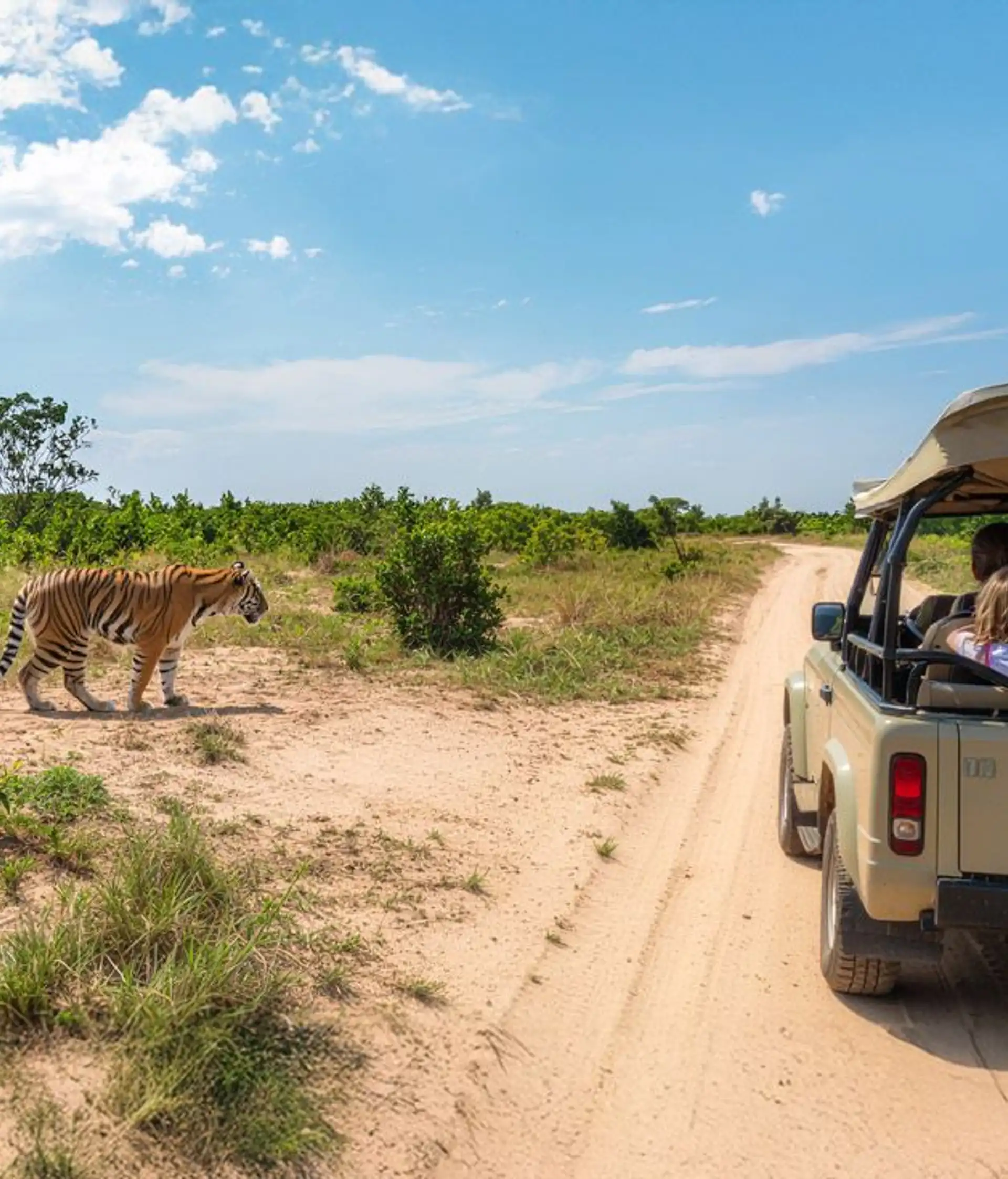 Nordindien mit Tiger, Dünen und Paläste Safari