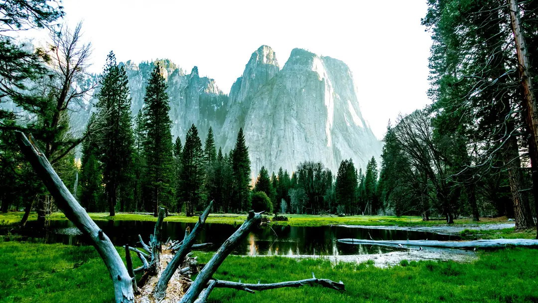 Paysage serein de la vallée de Yosemite avec des pins et de l'eau claire réfléchissant les montagnes rocheuses
