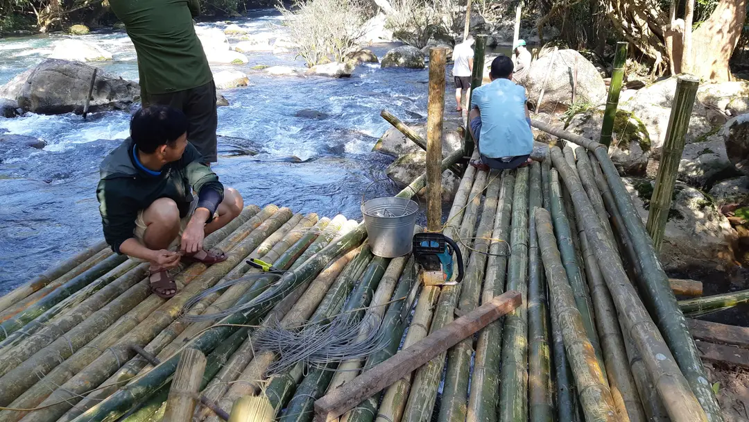 Passerelles aménagées dans la nature, à proximité du parc national de Phong Nha-Kẻ Bàng.