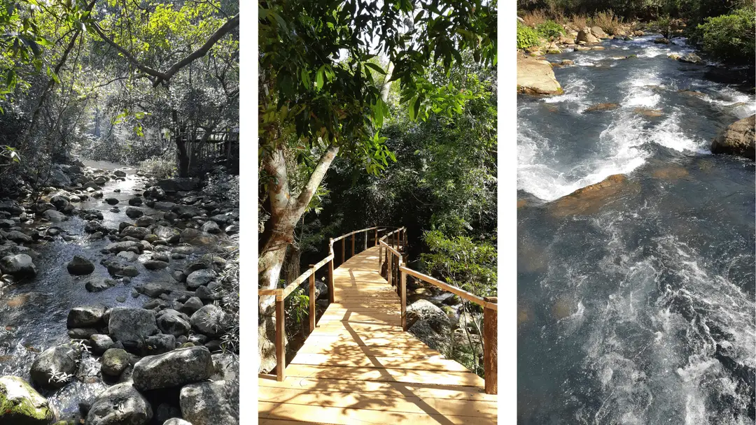 Sentier aménagé le long de la source de Suối Moọc, à proximité du parc national de Phong Nha-Kẻ Bàng, au Vietnam.