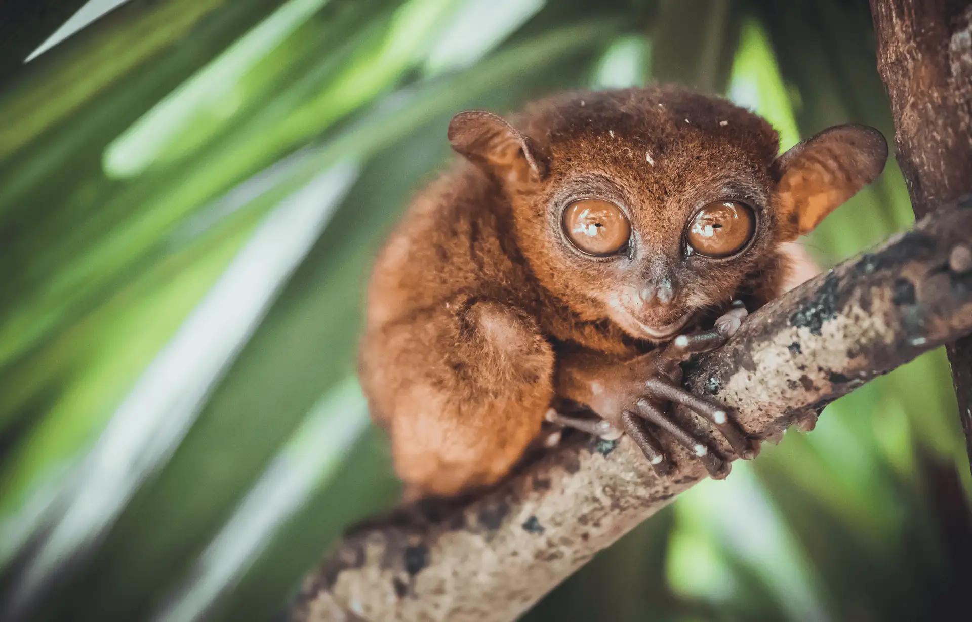 Les Philippines en famille