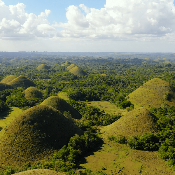 Chocolate Hills aux Philippines
