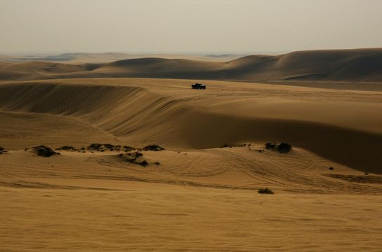Voyage au Qatar - Désert de sable