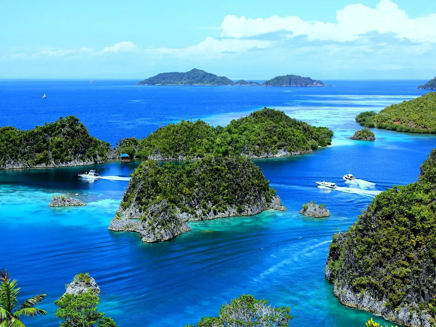 Raja Ampat îles Indonésie