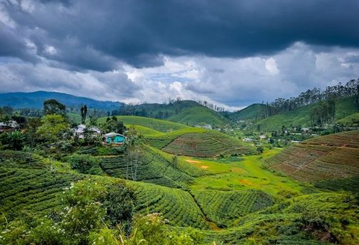 Digitaler Reiseführer beste reisezeit in sri lanka