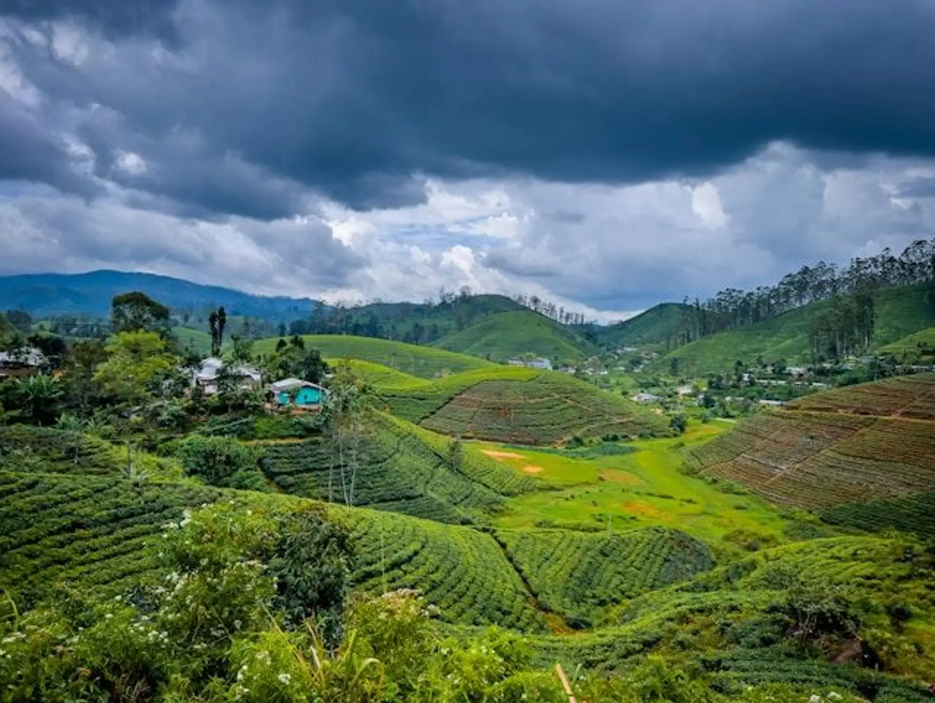 Beste Reisezeit auf Sri Lanka