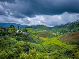 Digitaler Reiseführer beste reisezeit in sri lanka