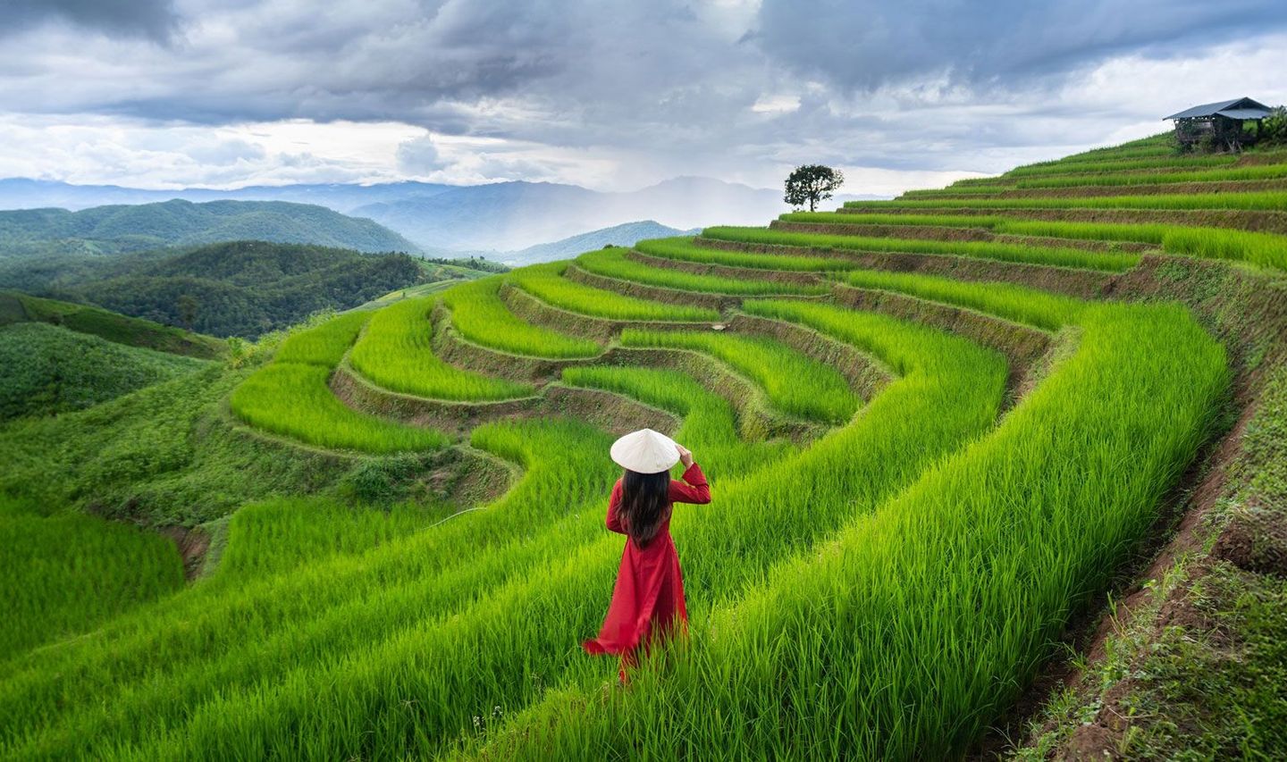 Reisfelder Vietnam die schönsten Orte