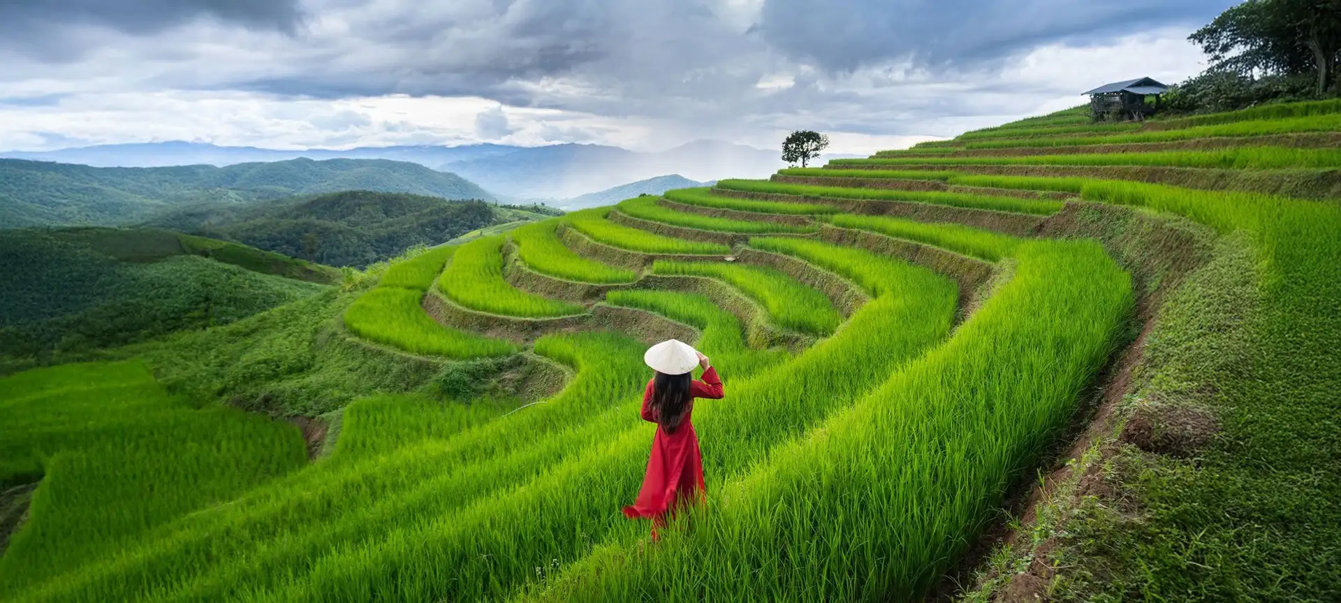 Reisfelder Vietnam die schönsten Orte