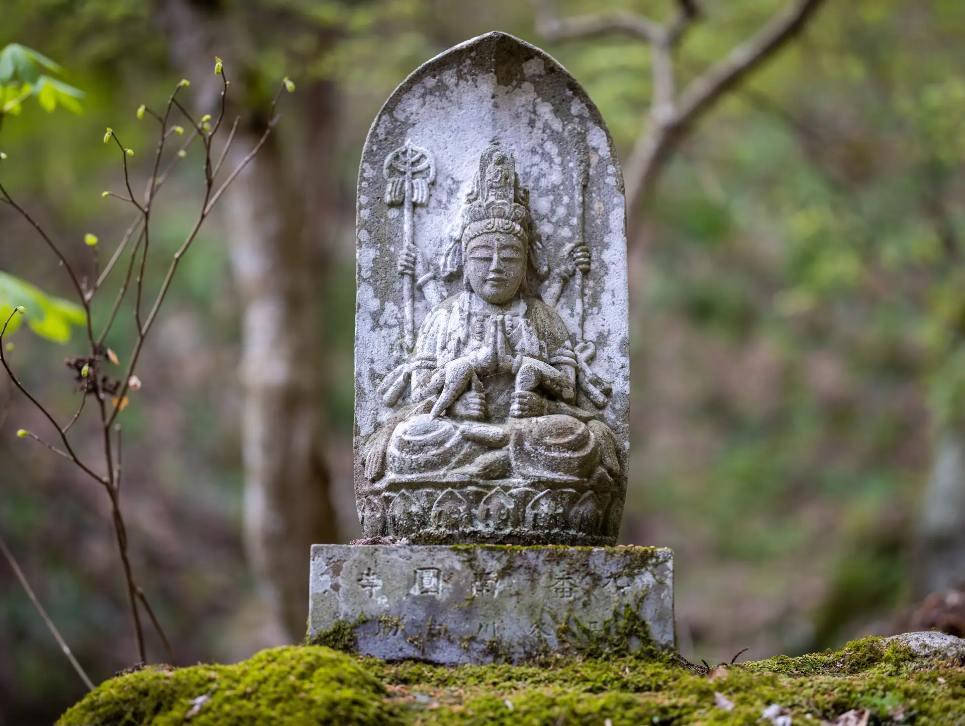 Notre Top 5 des plus beaux temples et sanctuaires à visiter au Japon en 2026