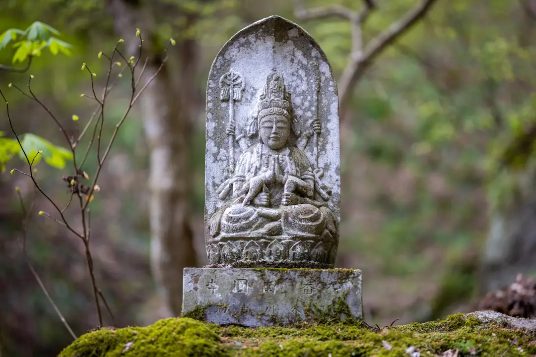 Une ancienne statue de Bouddha en pierre sculptée, moussue et entourée par la végétation forestière sacrée du temple Risshakuji à Yamadera au Japon.