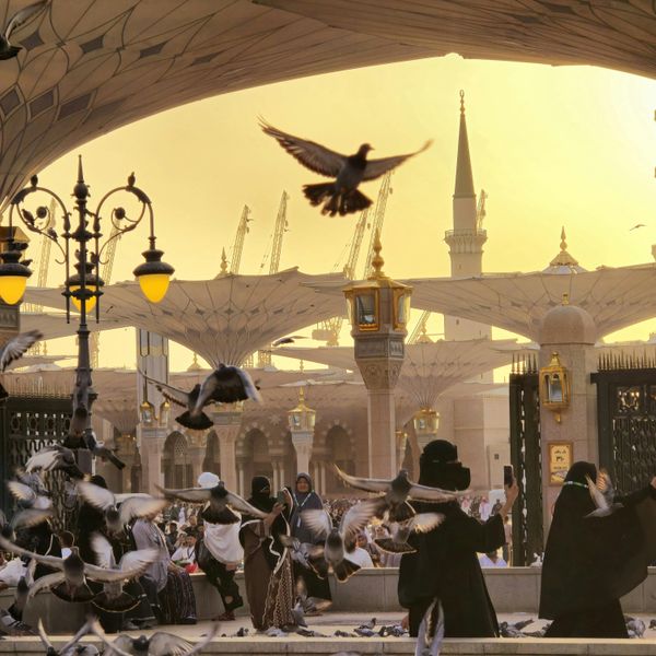 Voyage en Arabie Saoudite - Coucher de soleil sur la mosquée Nabawi à Médine