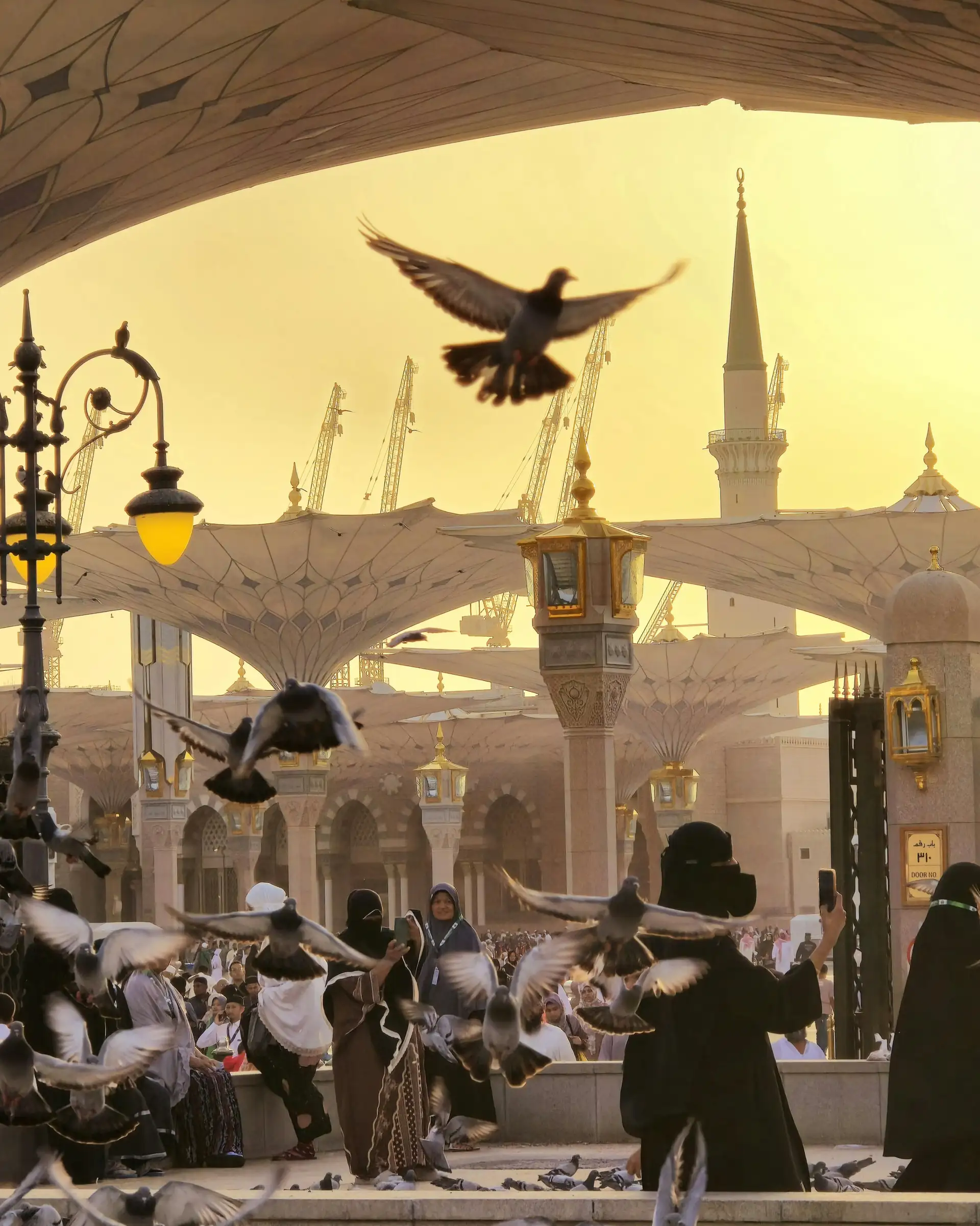 Voyage en Arabie Saoudite - Coucher de soleil sur la mosquée Nabawi à Médine