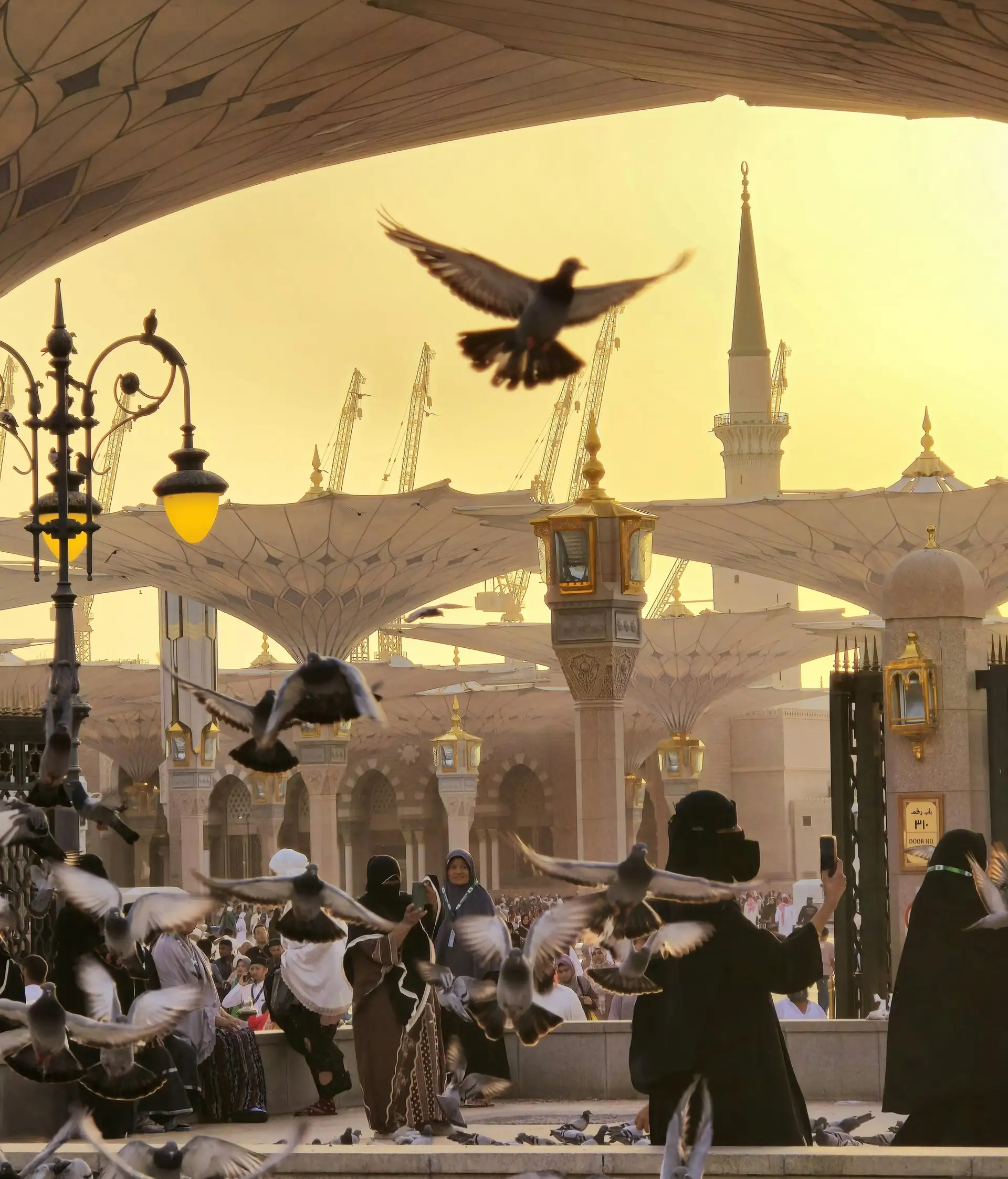 Voyage en Arabie Saoudite - Coucher de soleil sur la mosquée Nabawi à Médine