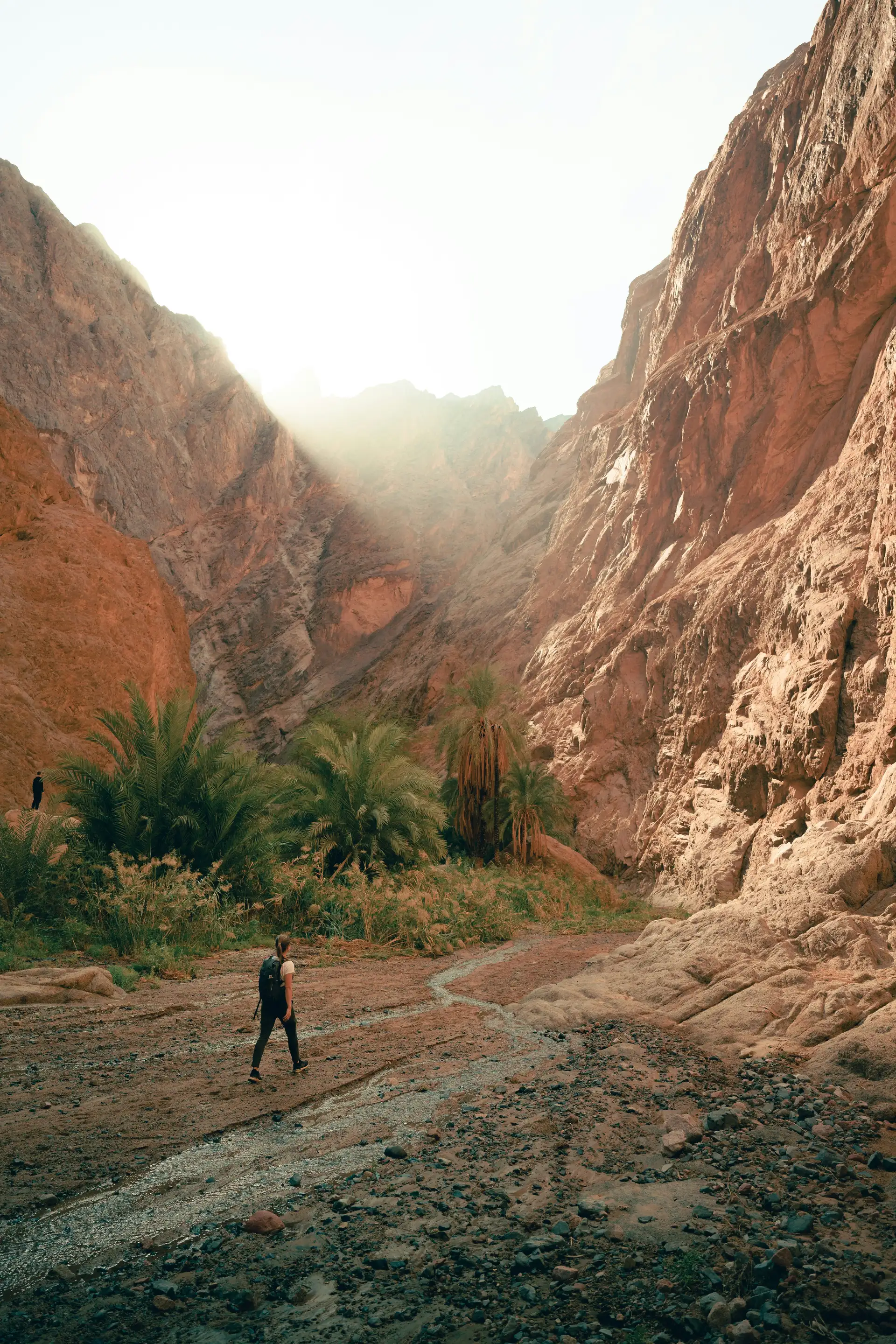 Voyage en Arabie Saoudite - Bédouine à Wadi