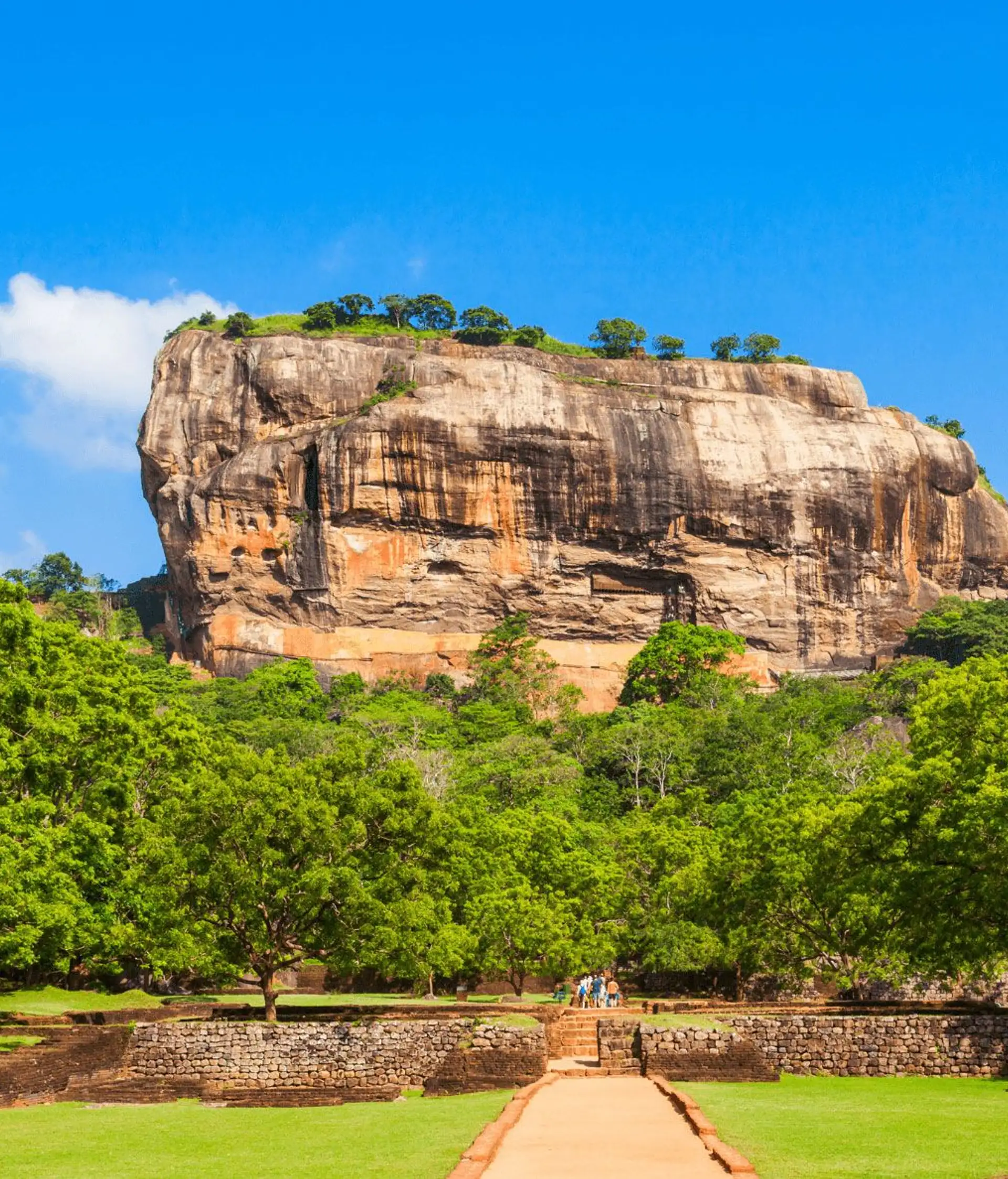 Reise zum Sigiriya Felsen in Sri Lanka Löwenfelsen