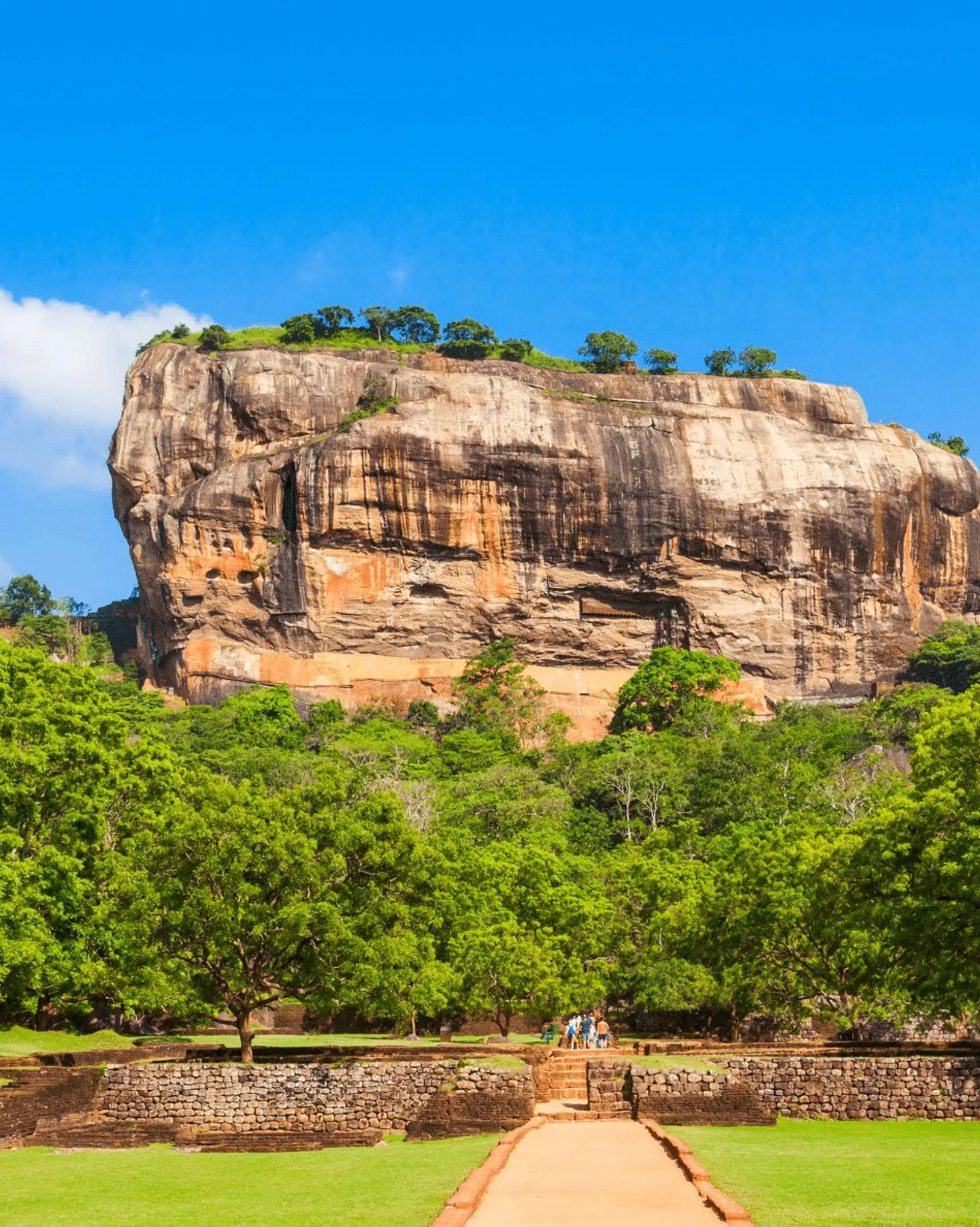 Reise zum Sigiriya Felsen in Sri Lanka Löwenfelsen