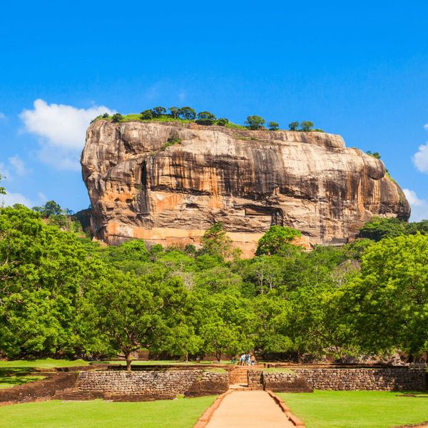 Reise zum Sigiriya Felsen in Sri Lanka Löwenfelsen