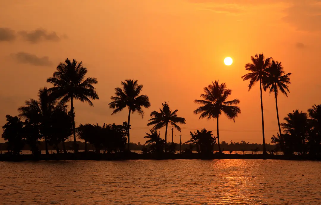 South India - Canva - Sunset backwaters in Kerala - Alleppey - Day 12.png