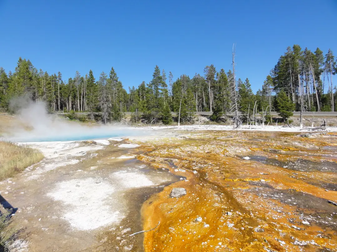 Une source géothermique aux couleurs vives dans le parc national de Yellowstone.