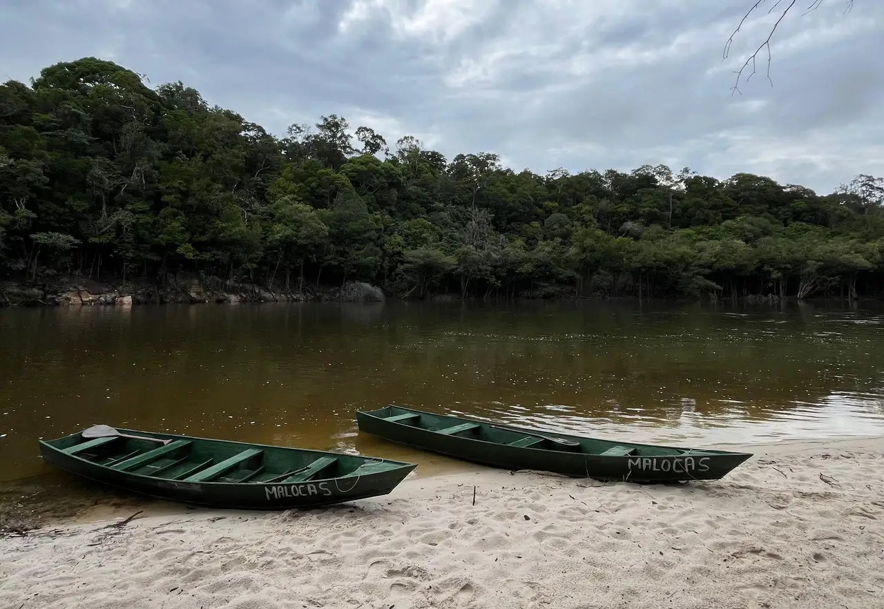 Voyage au Brésil – Embarcations traditionnelles amarrées sur une rive sablonneuse face au rideau dense de forêt tropicale bordant le fleuve Amazone.