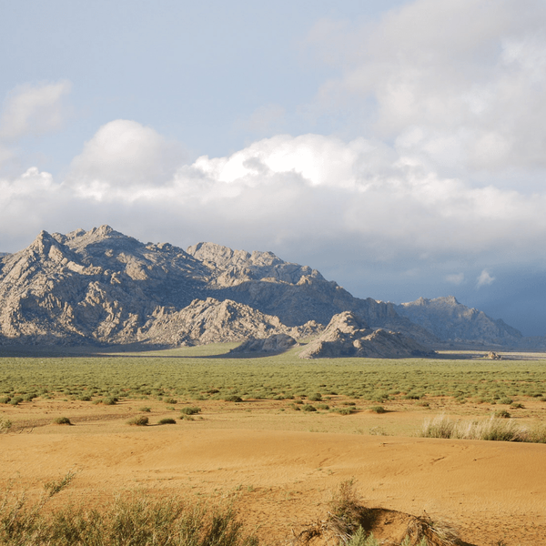 trek-ouzbekistan-techtkumbel-col