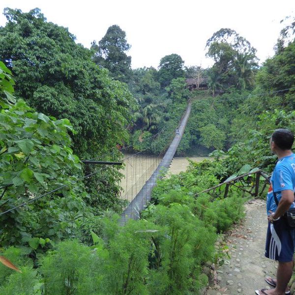 Stadterkundung und Natur pur in Tangkahan