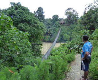 Stadterkundung und Natur pur in Tangkahan