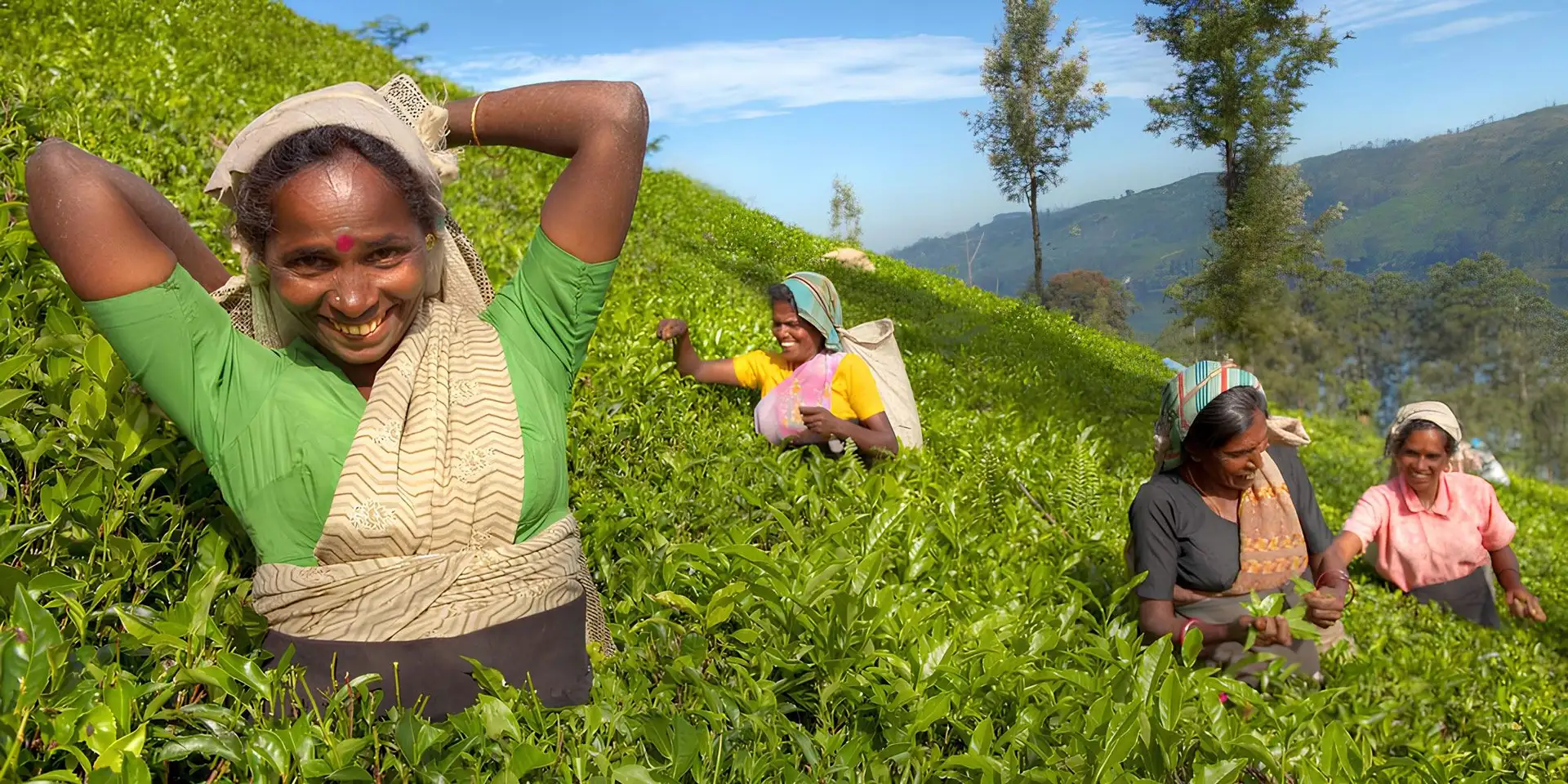 Sri Lanka Reise: Bestseller