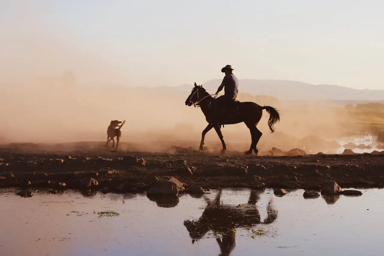 Texas, l’esprit cowboy