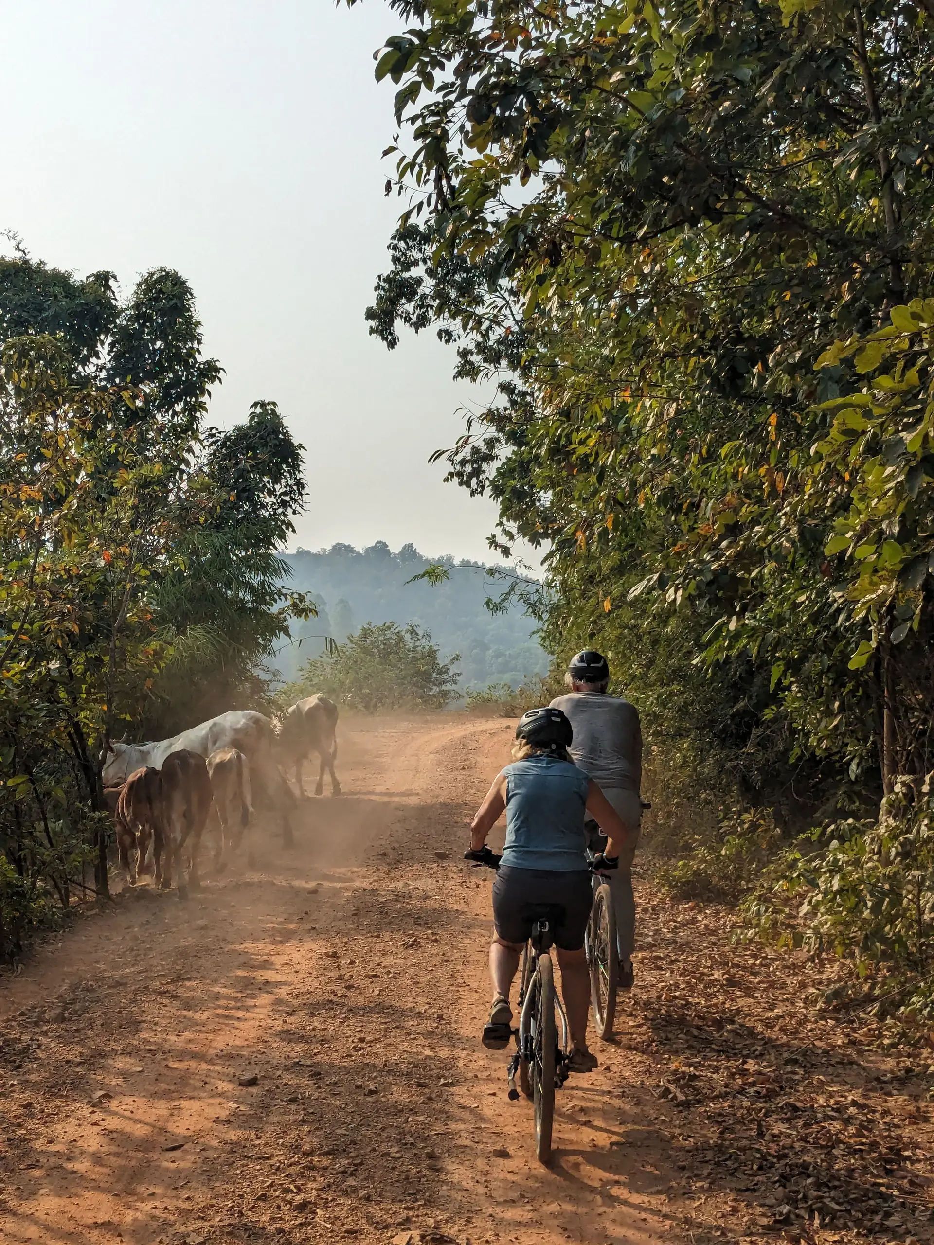 Travel in Asia - Two travelers riding bicycles down a dusty country road in Thailand
