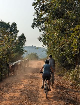 Travel in Asia - Two travelers riding bicycles down a dusty country road in Thailand