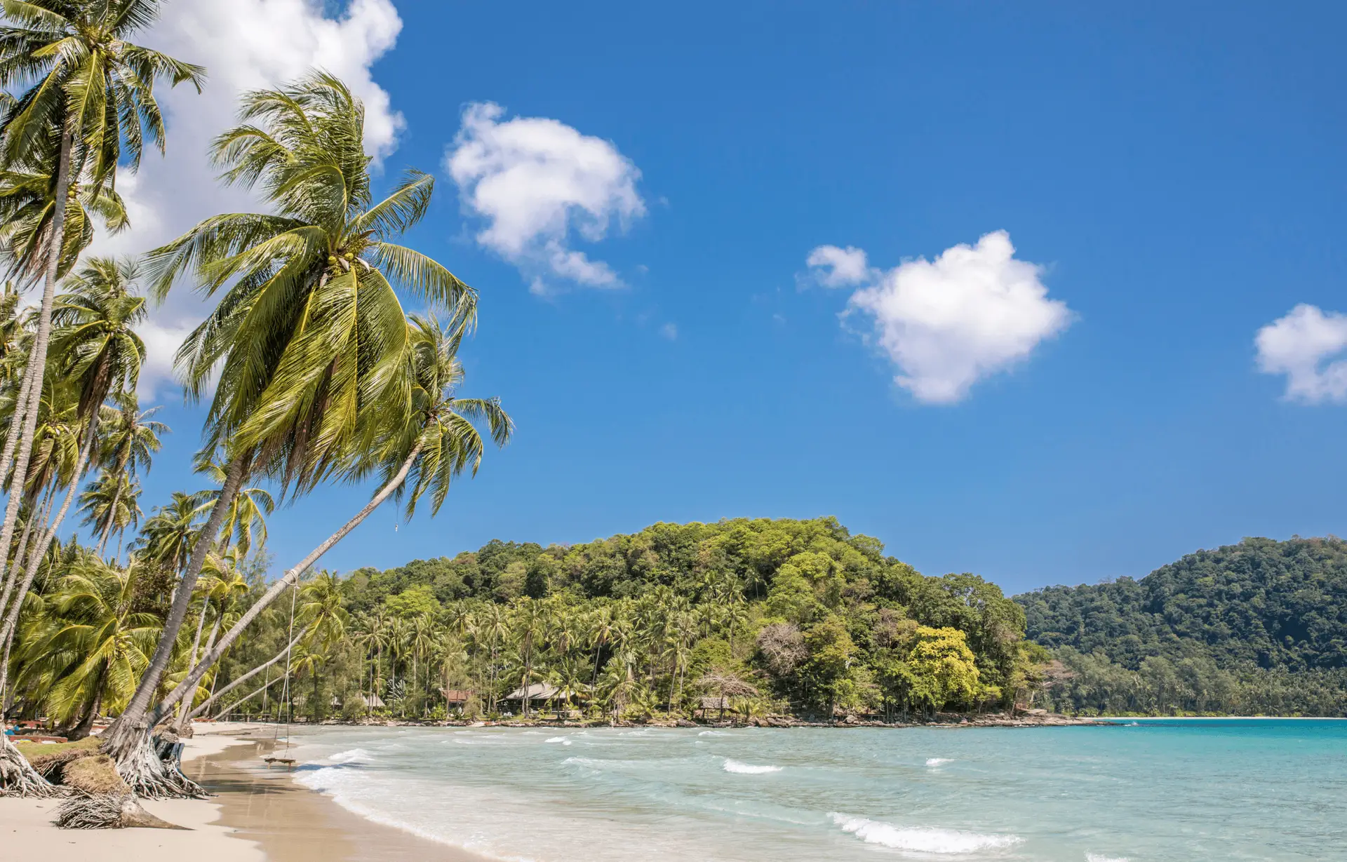 Travel in Asia - Blue skies over a white-sand beach surrounded by palm trees in Thailand