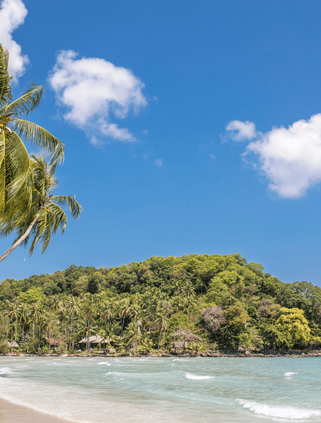 Travel in Asia - Blue skies over a white-sand beach surrounded by palm trees in Thailand