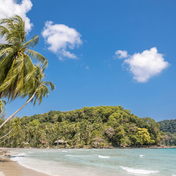 Travel in Asia - Blue skies over a white-sand beach surrounded by palm trees in Thailand