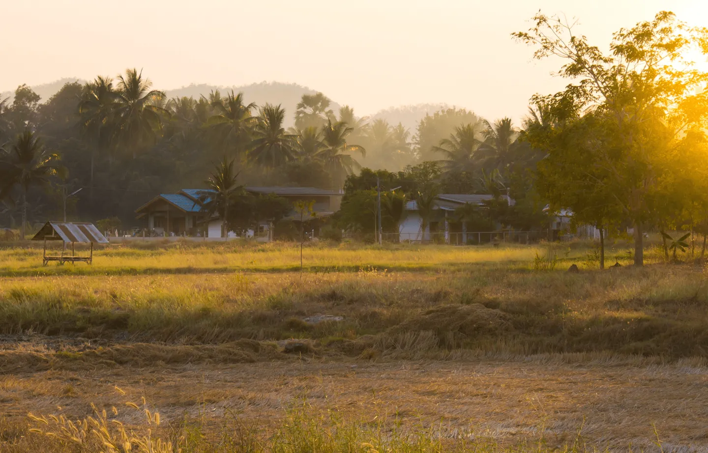 Thaïlande - Canva - countryside - Uthai Thani  (7).png