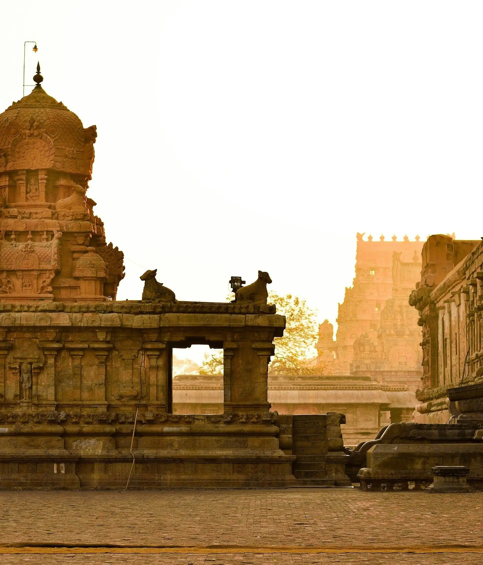 Voyage dans le Tamil Nadu sacré avec votre agence locale